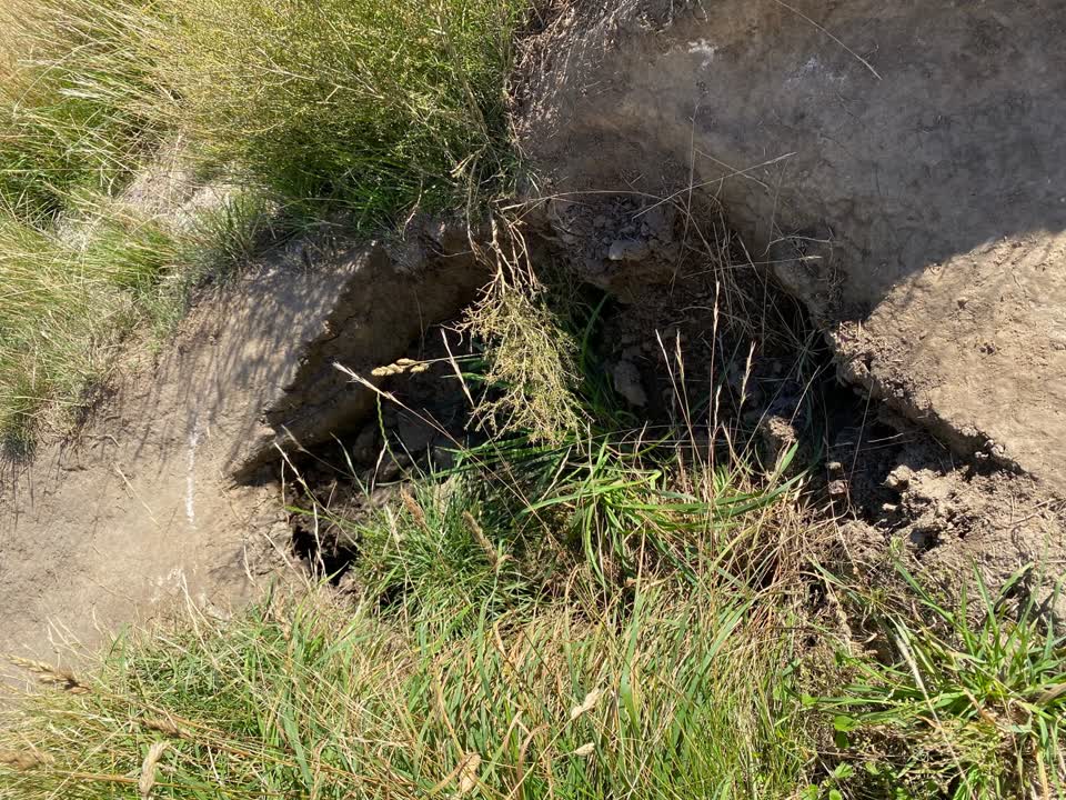 The photograph attached to this parks report