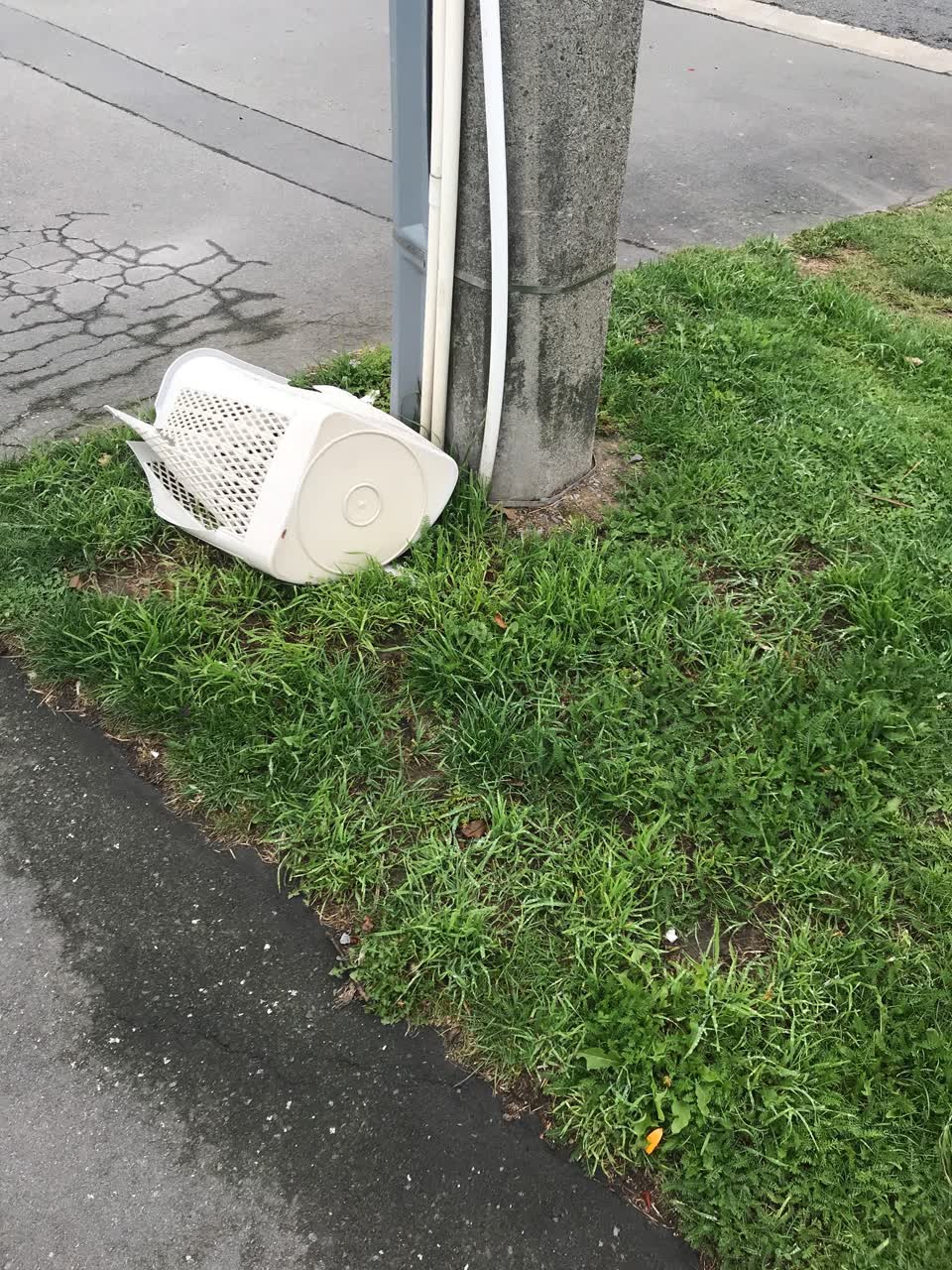 The photograph attached to this rubbish/recycling report