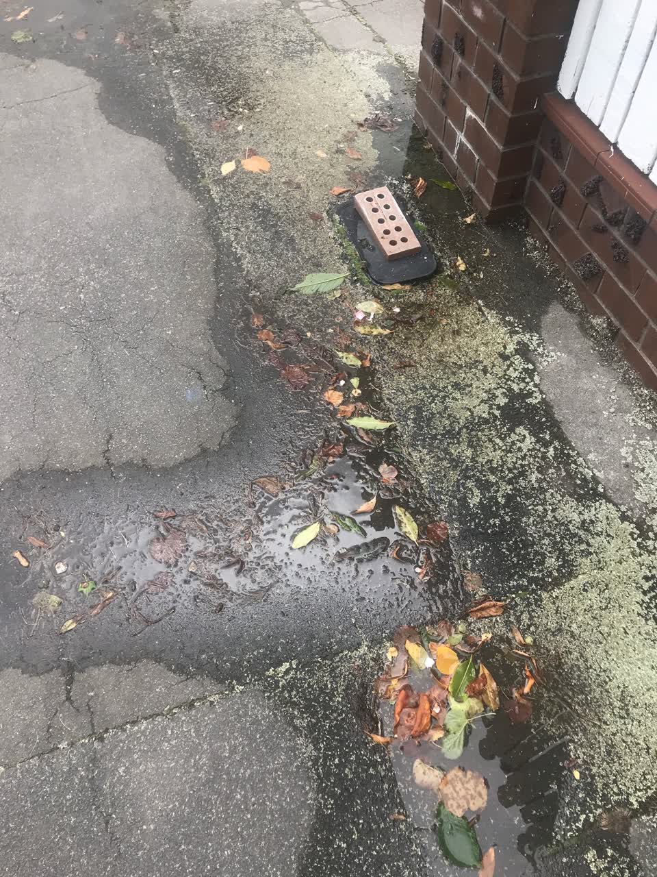 The photograph attached to this water leak report