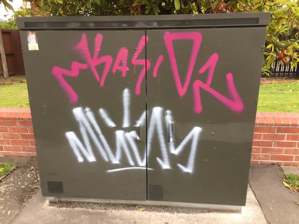 The photograph attached to this graffiti report