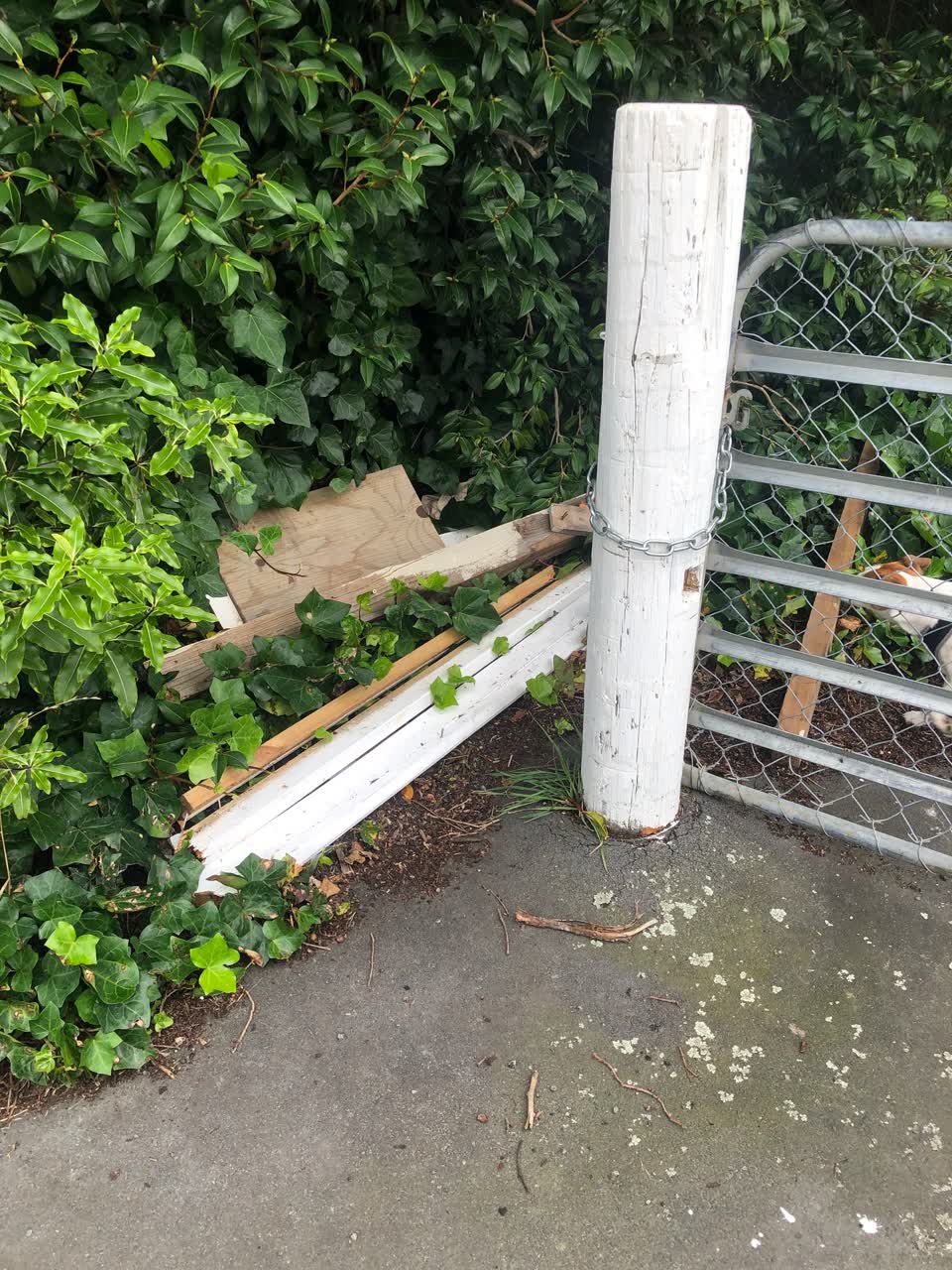 The photograph attached to this rubbish/recycling report