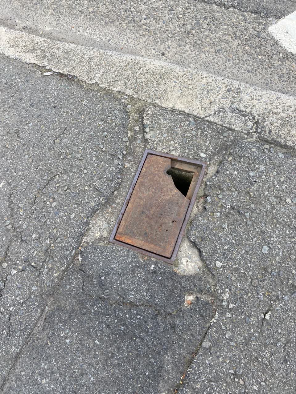 The photograph attached to this roading/streets report