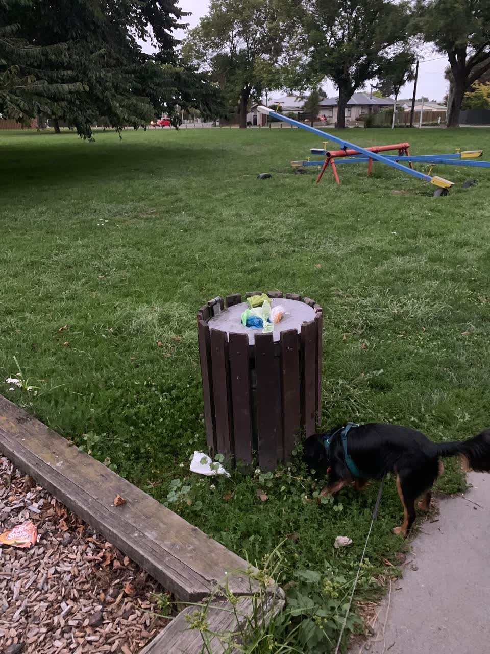 The photograph attached to this rubbish/recycling report