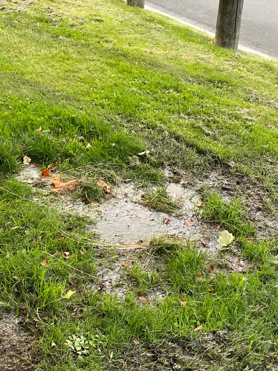 The photograph attached to this water leak report