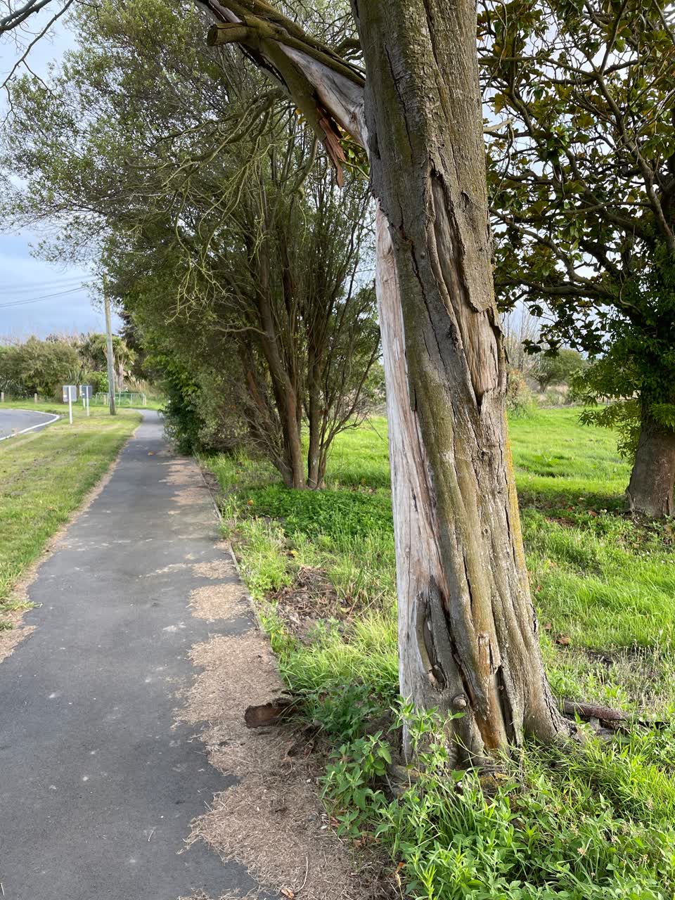 The photograph attached to this parks report