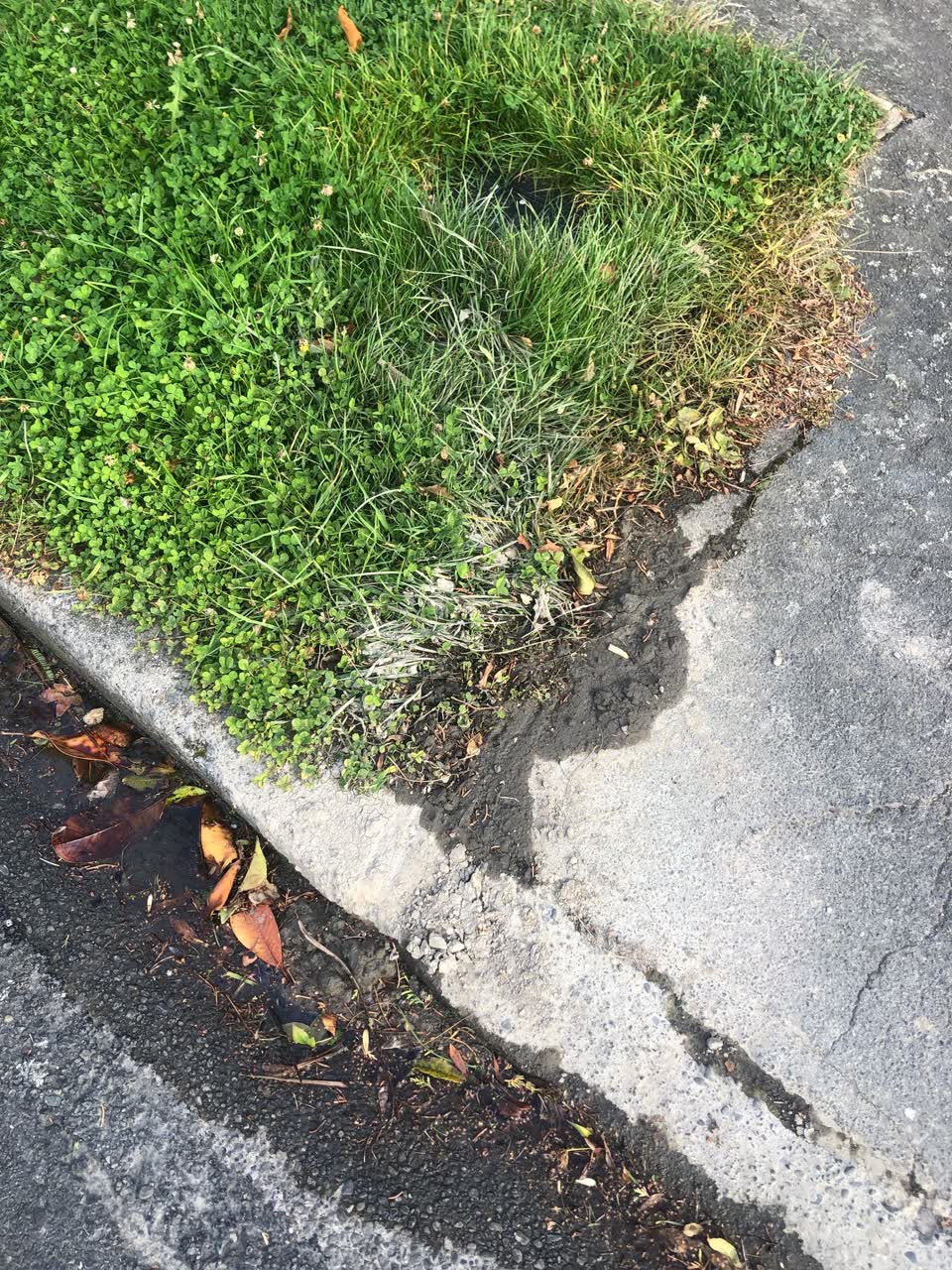 The photograph attached to this water leak report