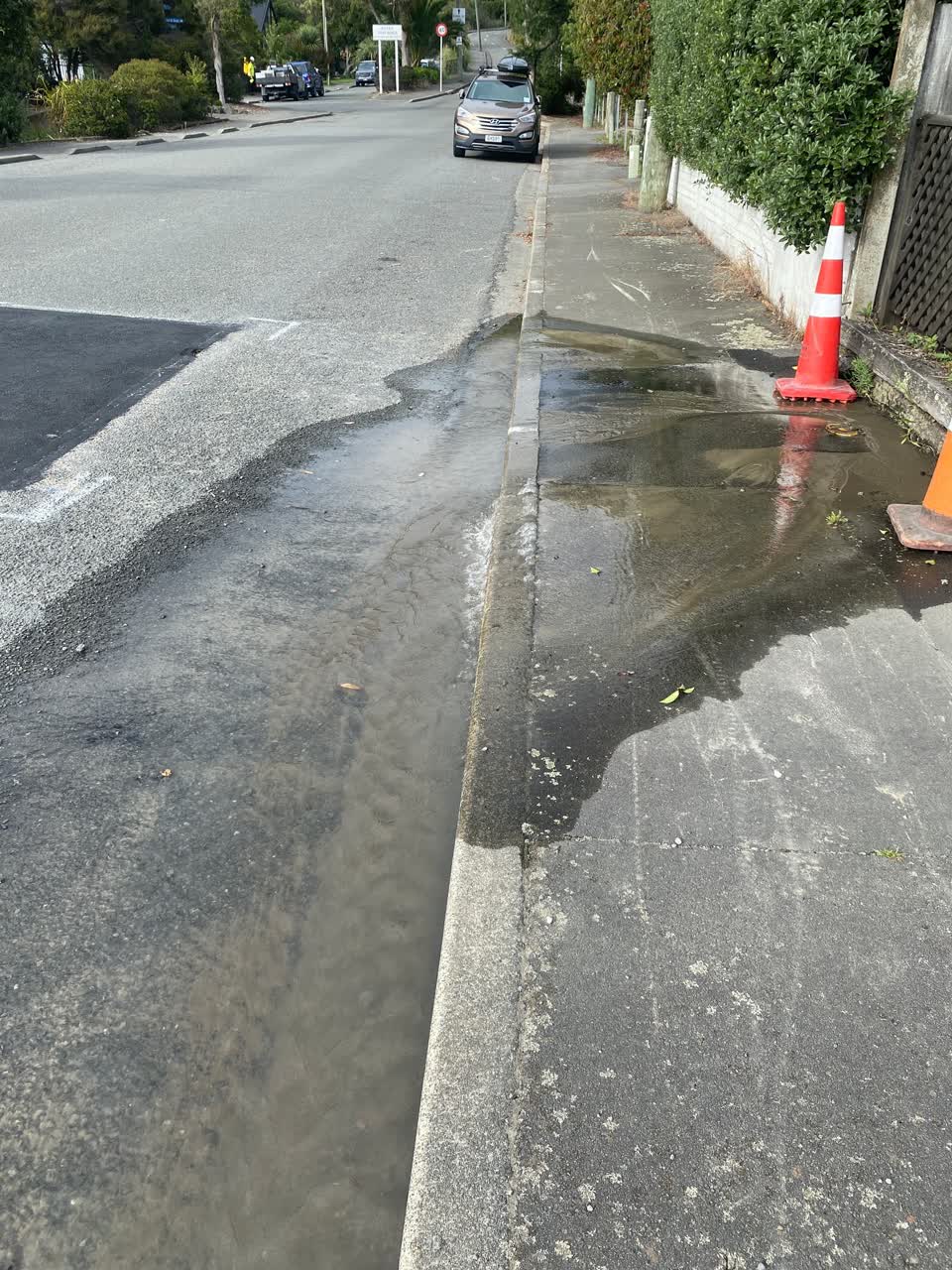 The photograph attached to this water leak report