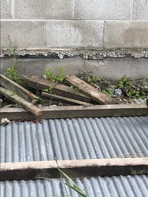 Rubbish/Recycling, a report photo