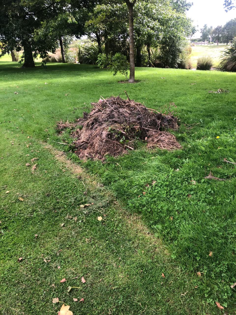 The photograph attached to this parks report
