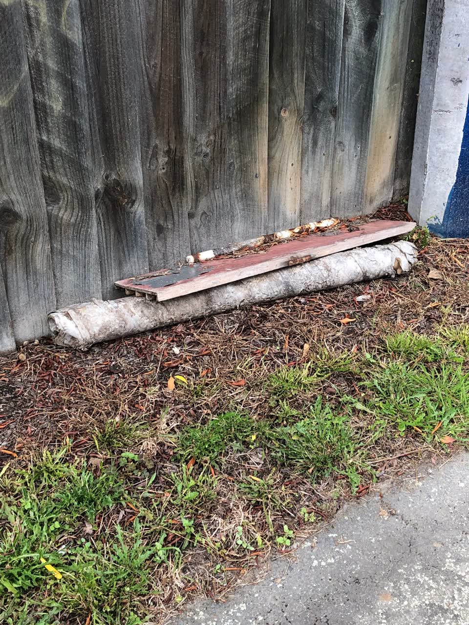 The photograph attached to this parks report