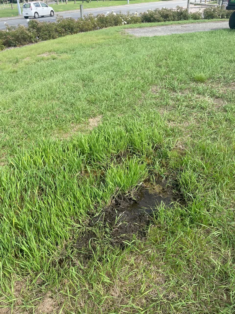The photograph attached to this parks report