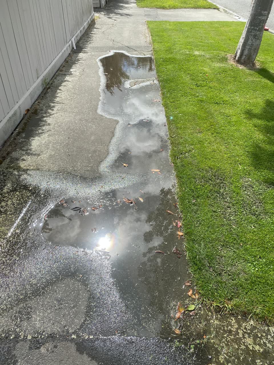 The photograph attached to this flooding report