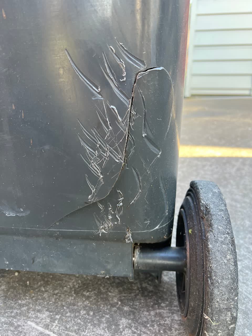 The photograph attached to this rubbish/recycling report