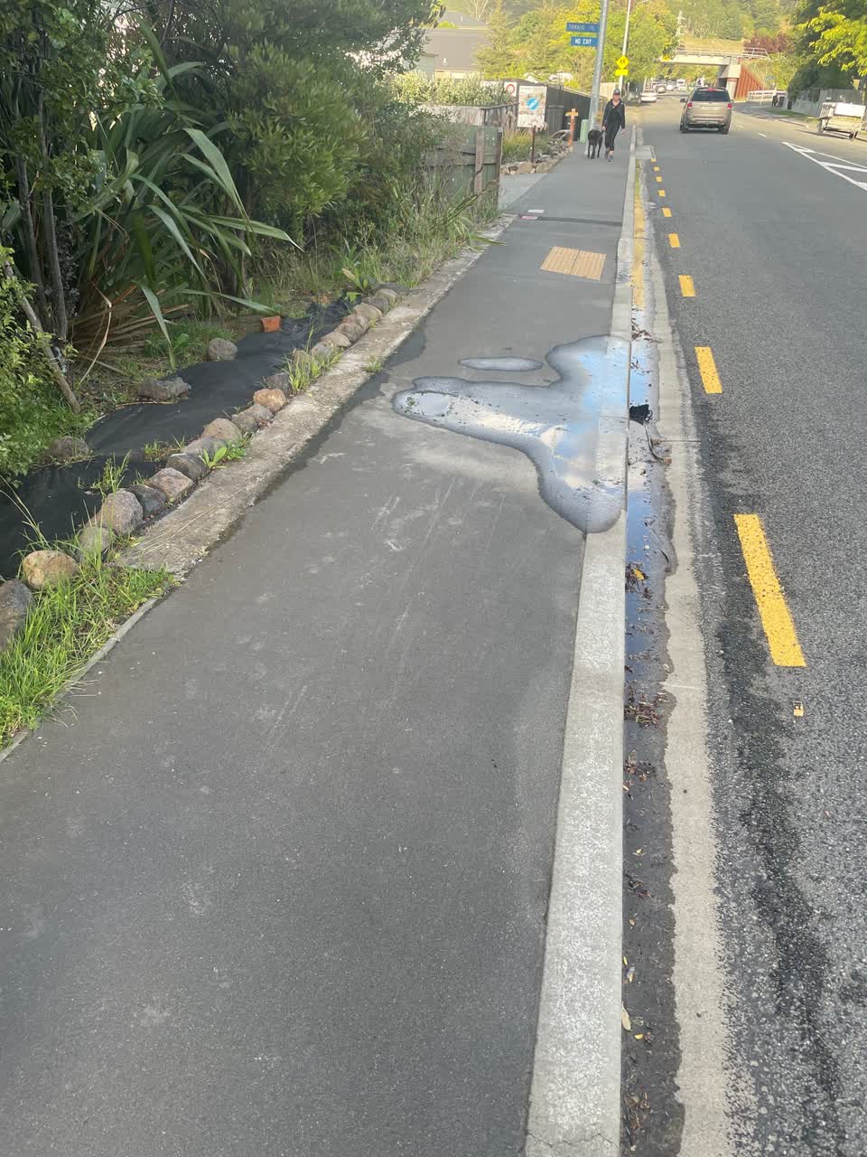 The photograph attached to this water supply report