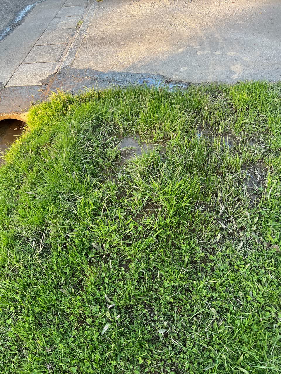 The photograph attached to this water leak report