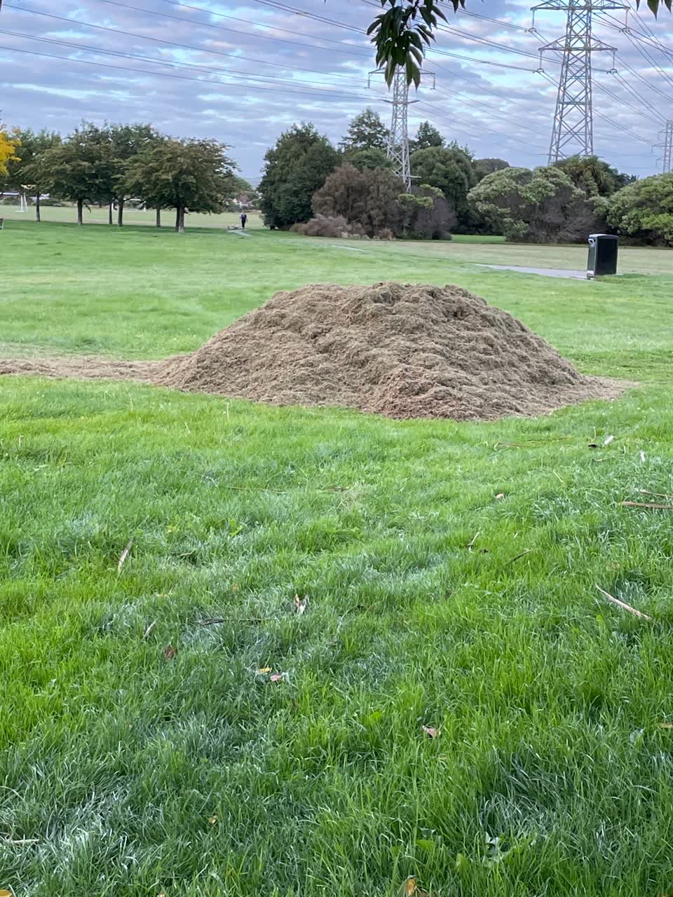 The photograph attached to this parks report