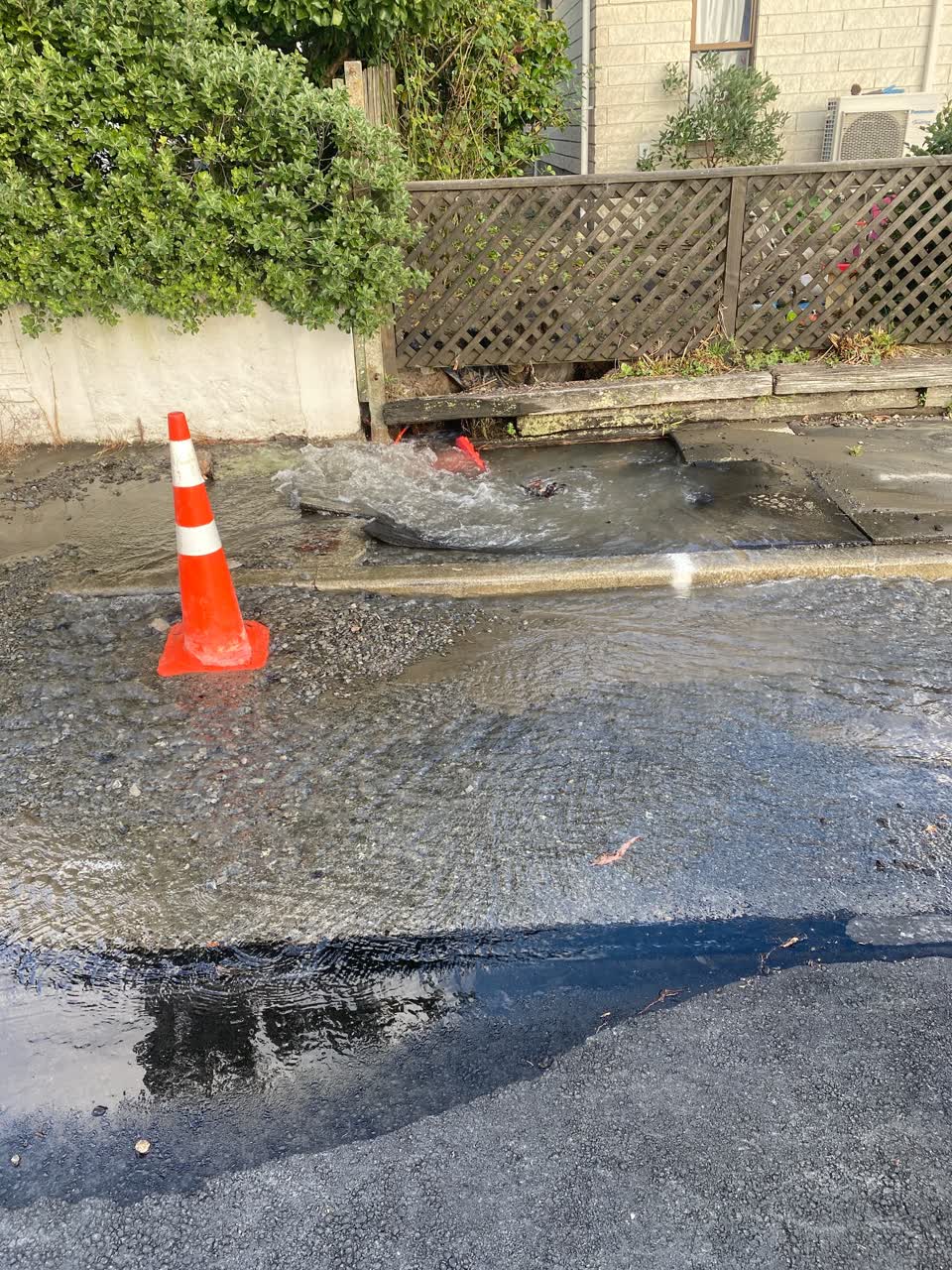 The photograph attached to this water leak report
