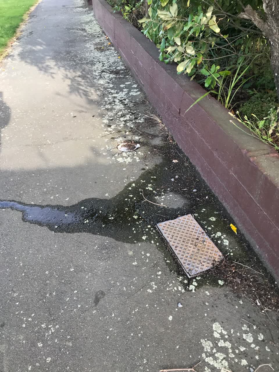 The photograph attached to this water leak report