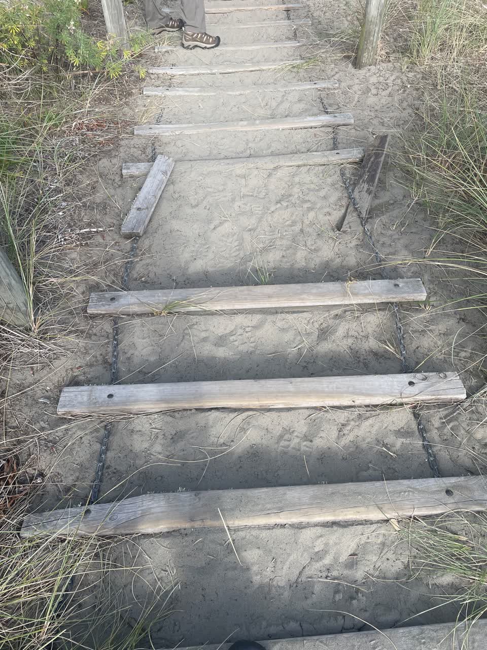 The photograph attached to this parks report