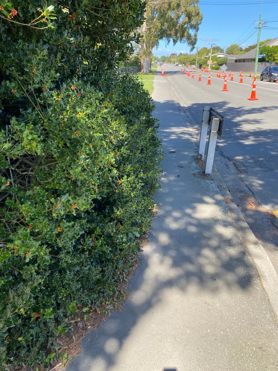 The photograph attached to this parks report