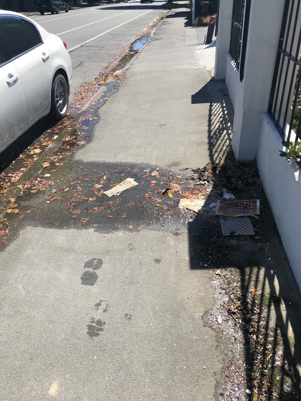 The photograph attached to this roading/streets report