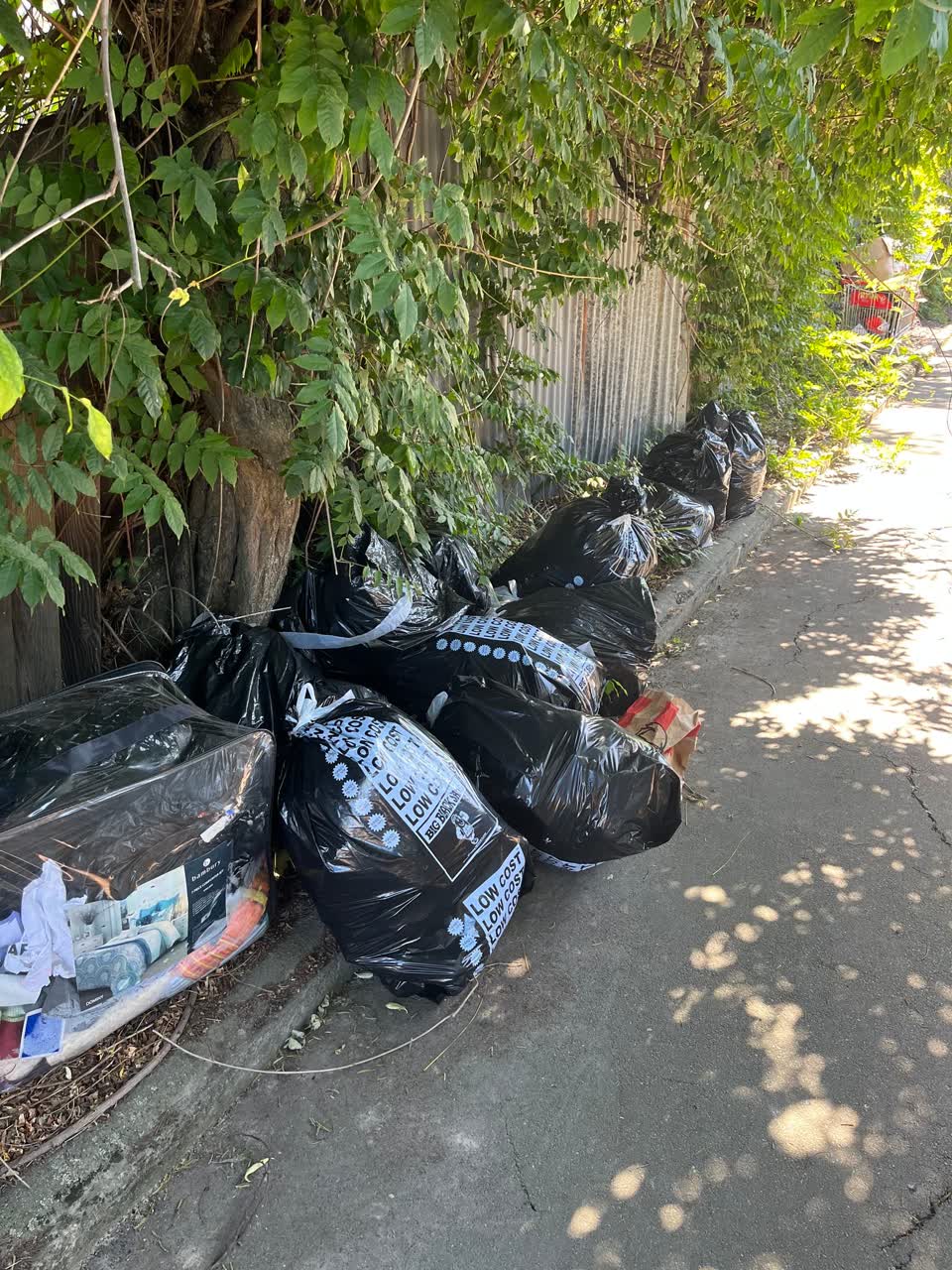 The photograph attached to this rubbish/recycling report