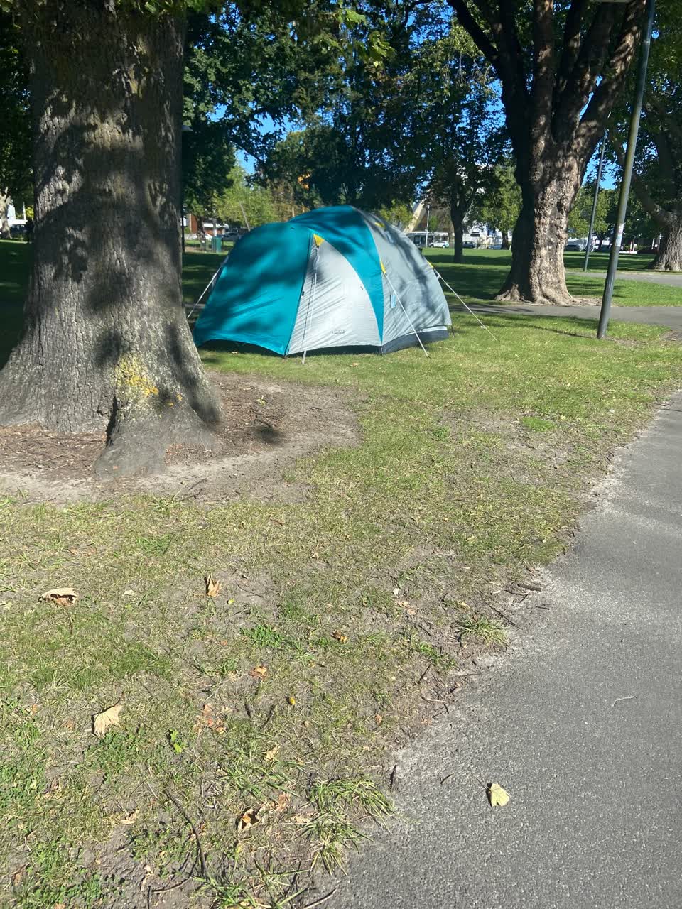 The photograph attached to this parks report