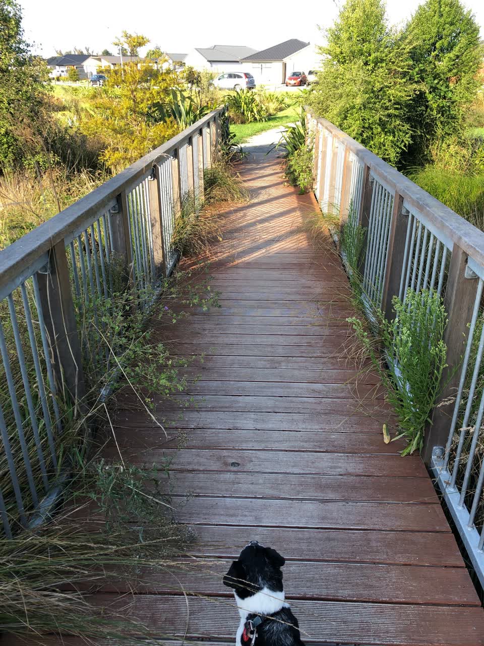 The photograph attached to this parks report