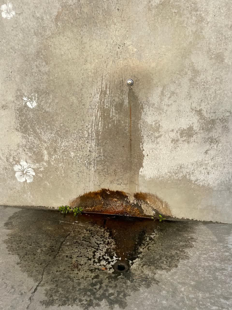 The photograph attached to this flooding report