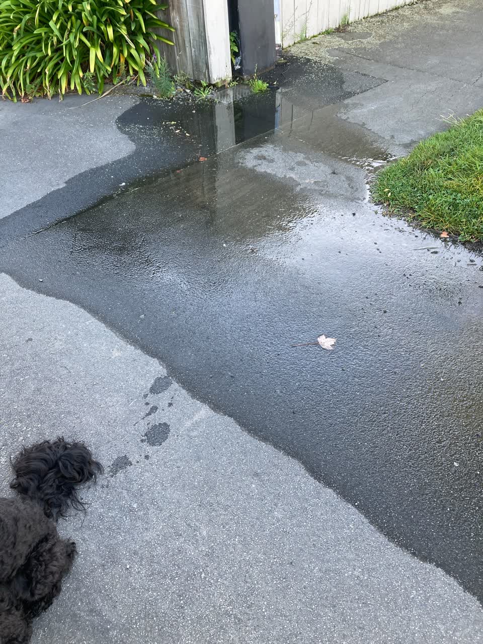 The photograph attached to this water supply report