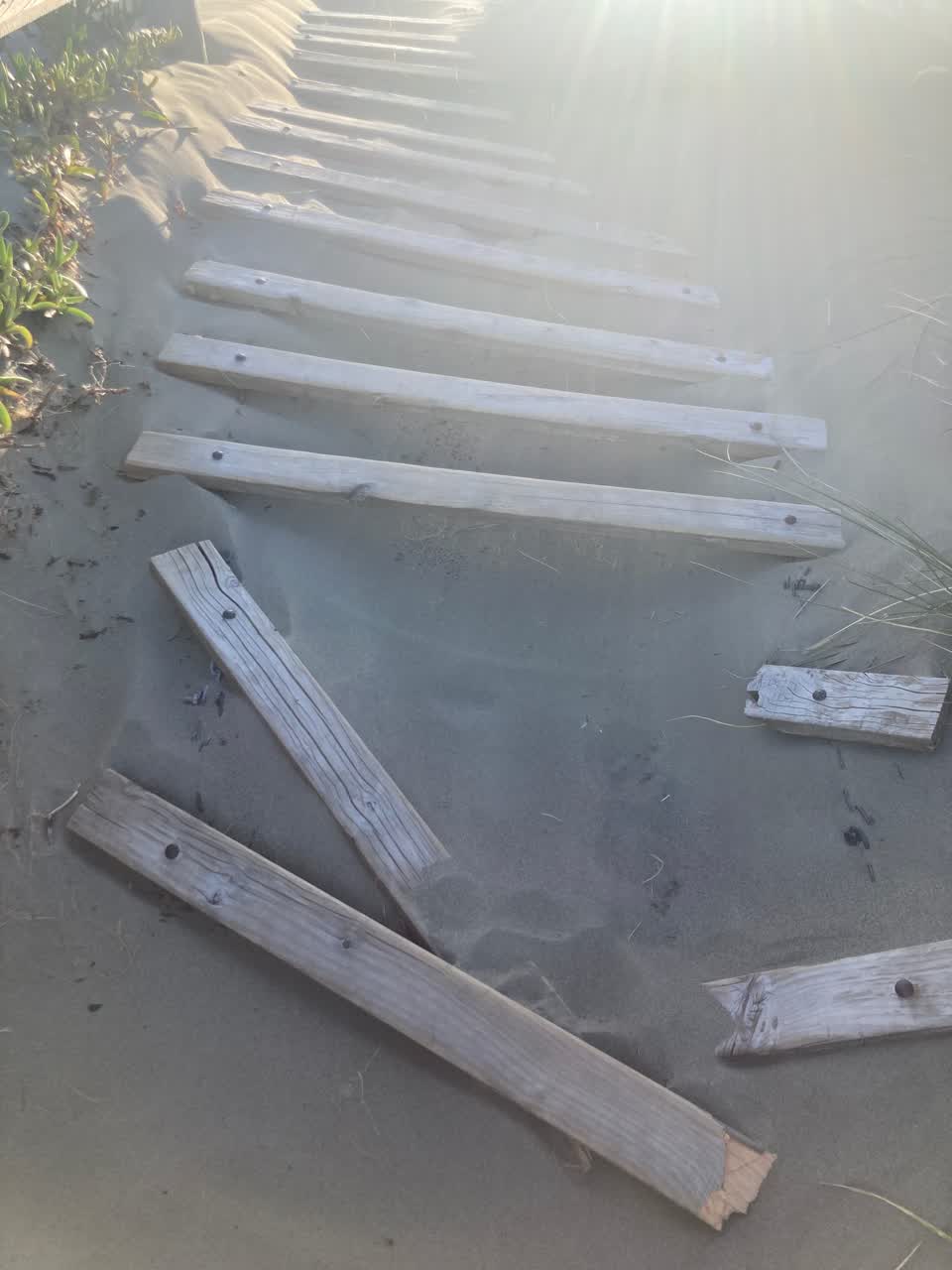 The photograph attached to this parks report