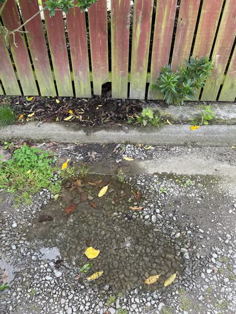 Water Leak, a report photo