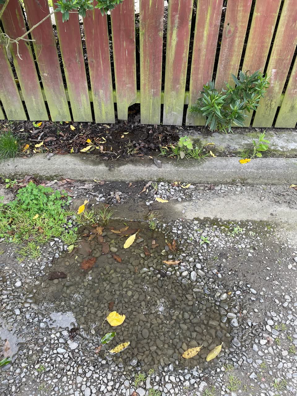 The photograph attached to this water leak report