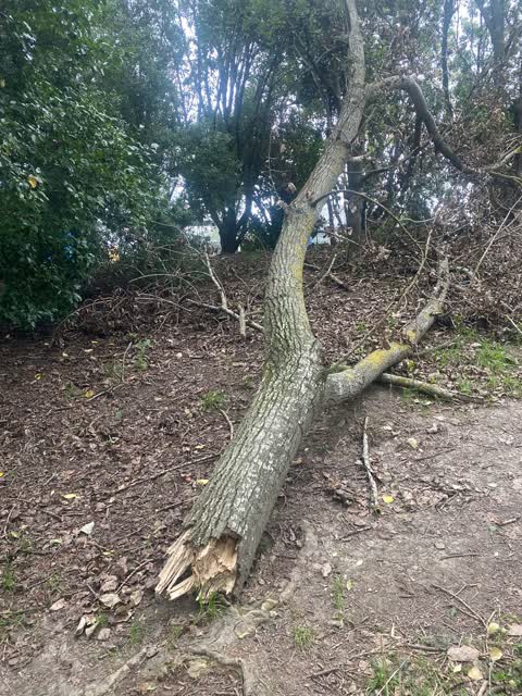 Parks, a report photo