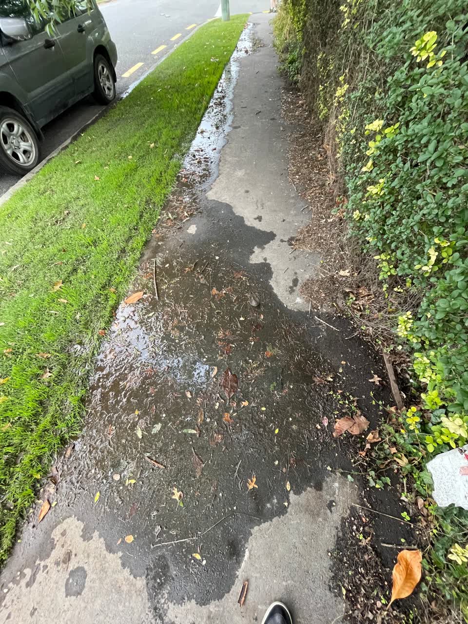 The photograph attached to this water leak report