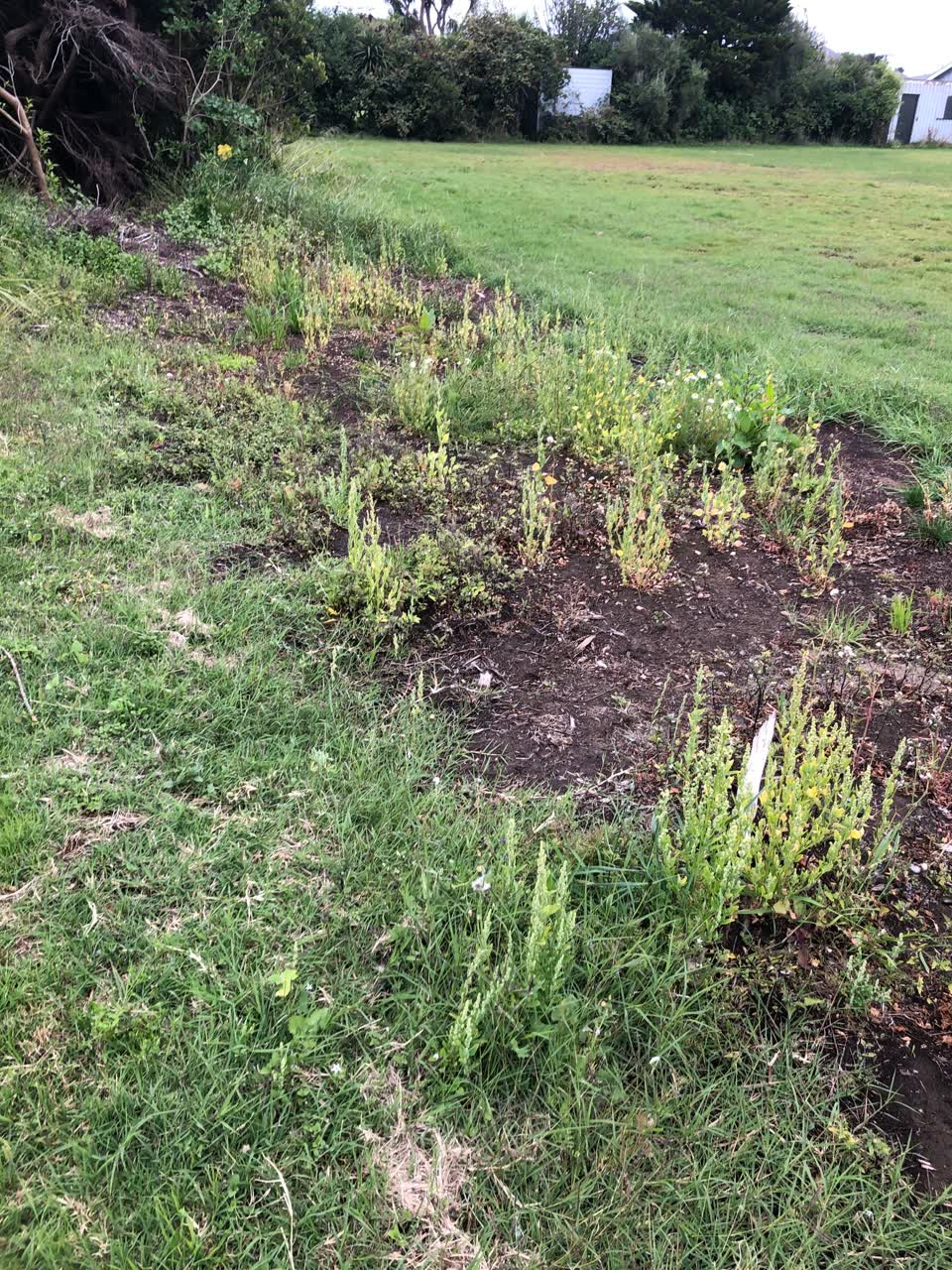 The photograph attached to this parks report