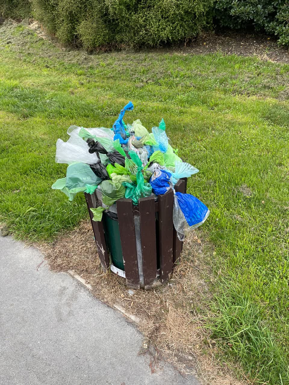 The photograph attached to this parks report