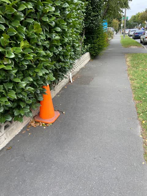 Roading/Streets, a report photo