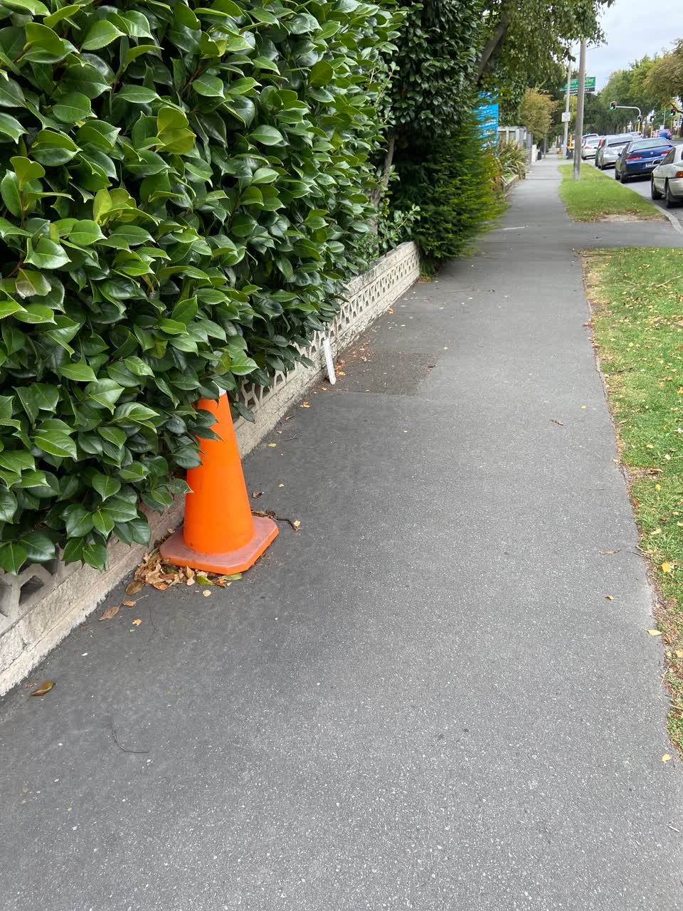 The photograph attached to this roading/streets report