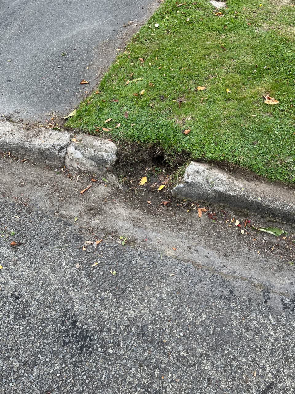 The photograph attached to this wastewater/stormwater report