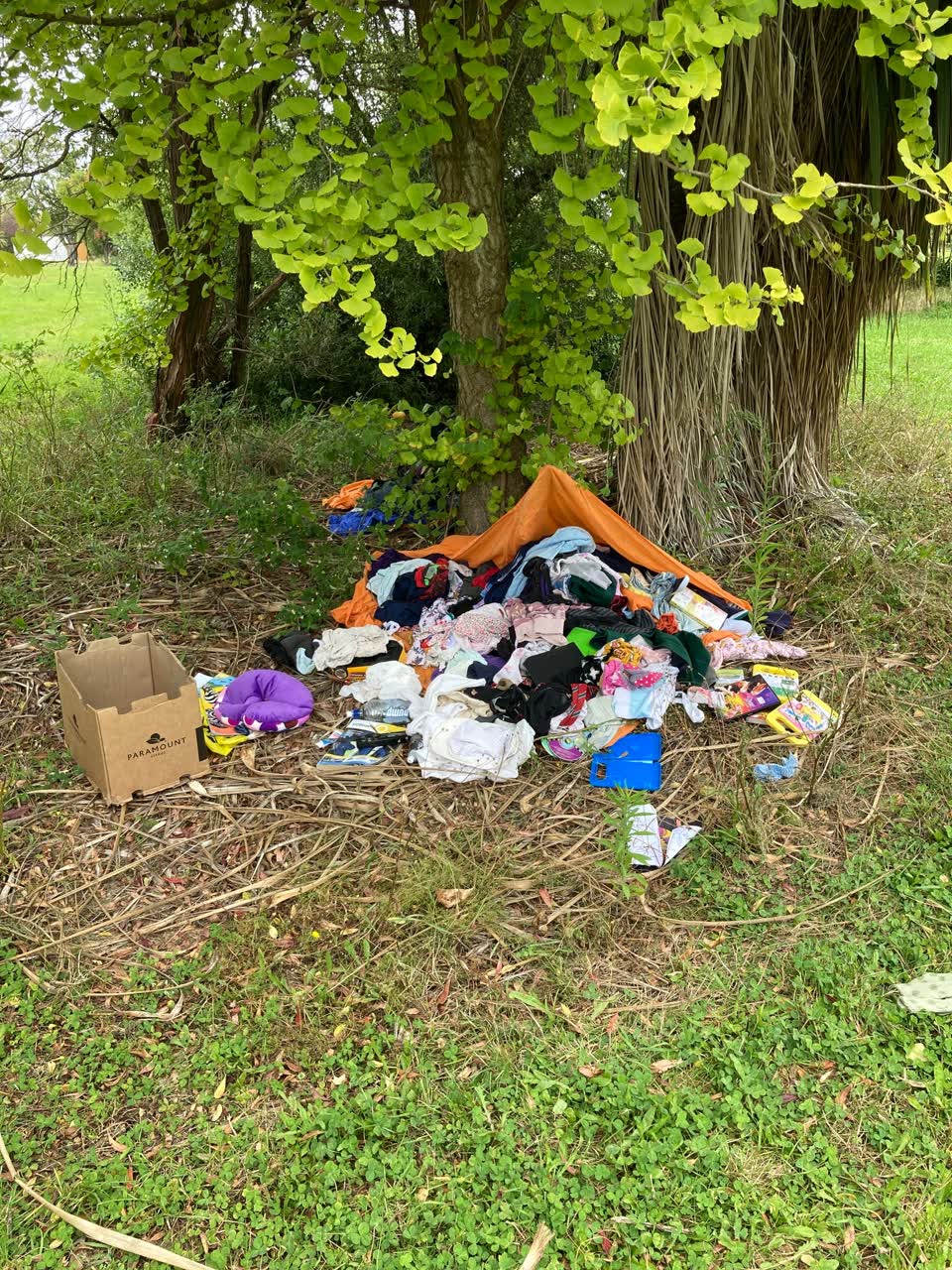 The photograph attached to this rubbish/recycling report