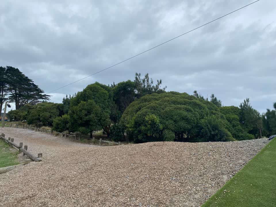 The photograph attached to this parks report