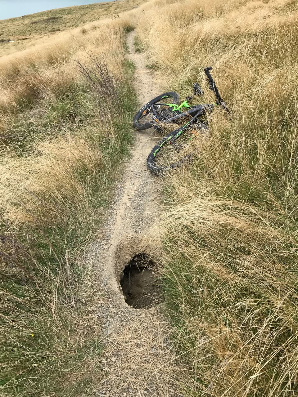 The photograph attached to this parks report