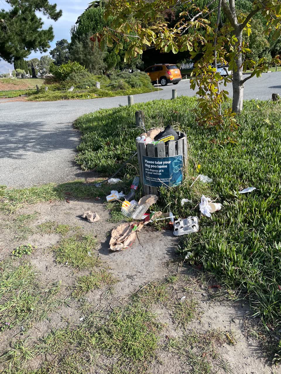 The photograph attached to this parks report