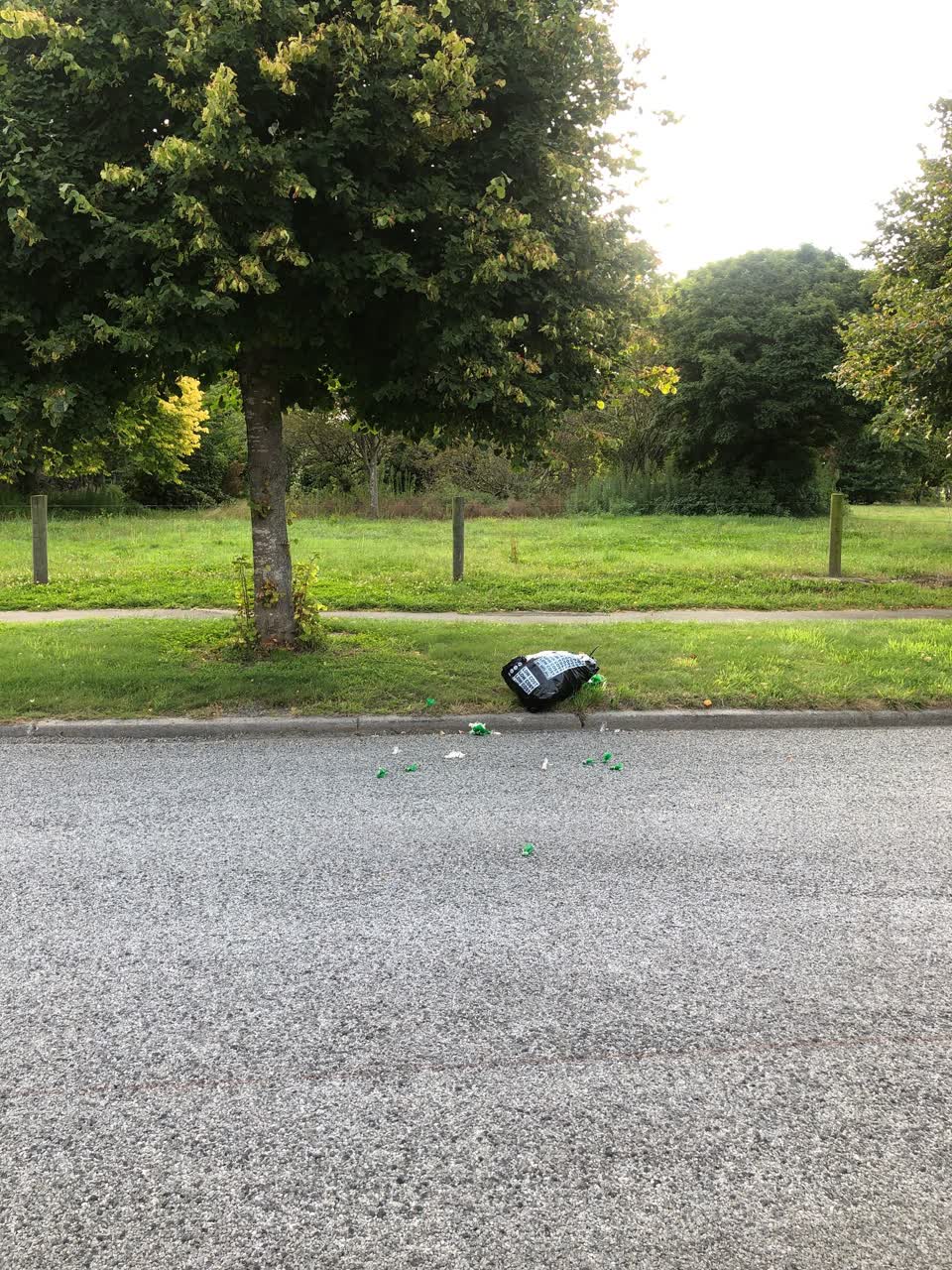 The photograph attached to this rubbish/recycling report