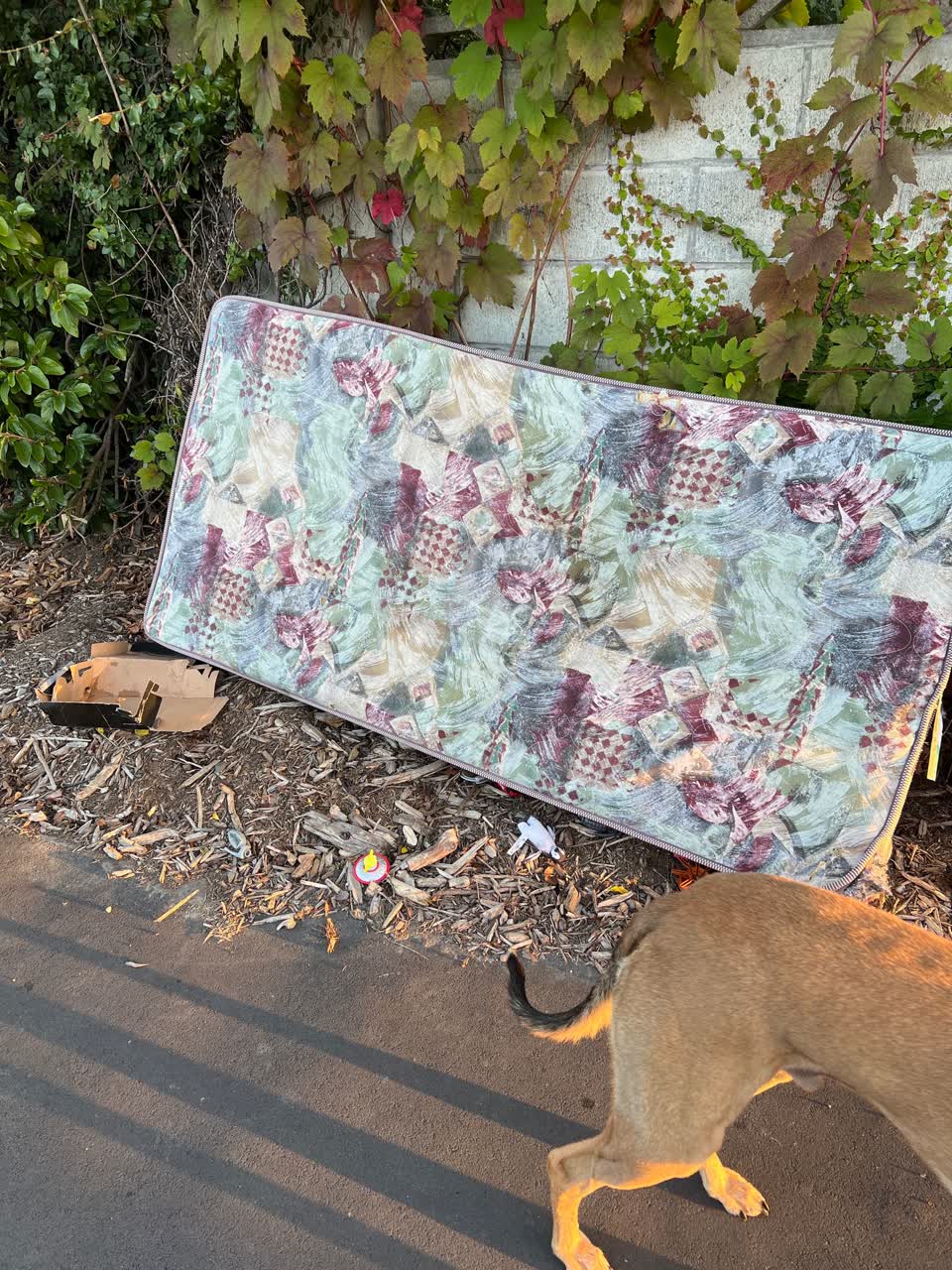 The photograph attached to this rubbish/recycling report