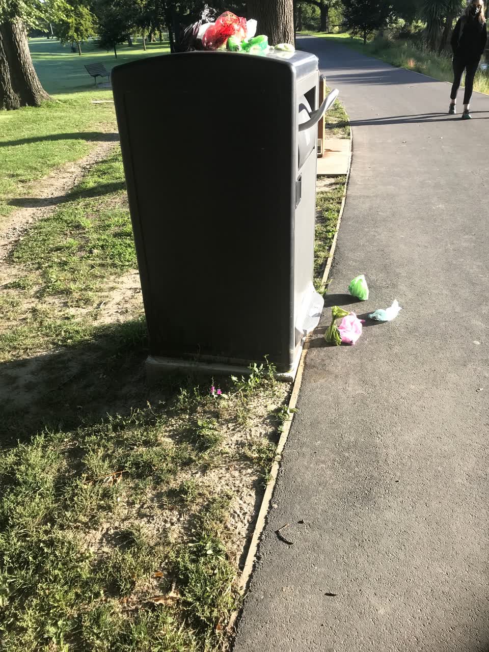 The photograph attached to this rubbish/recycling report