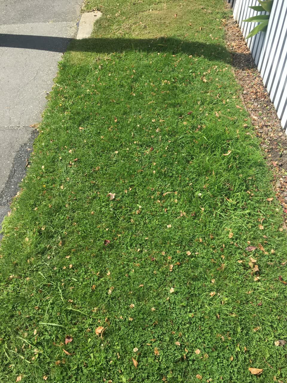 The photograph attached to this water leak report