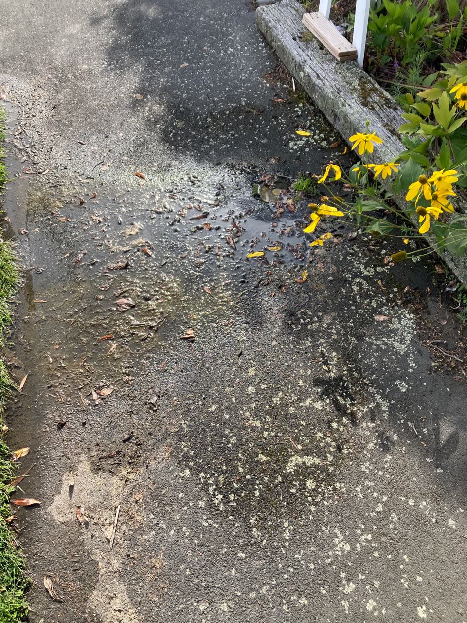 The photograph attached to this wastewater/stormwater report
