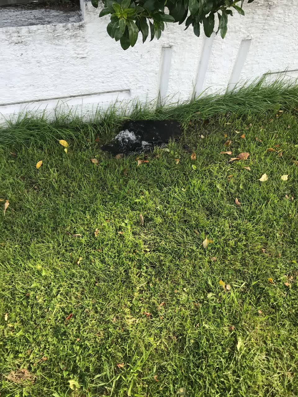 The photograph attached to this water leak report